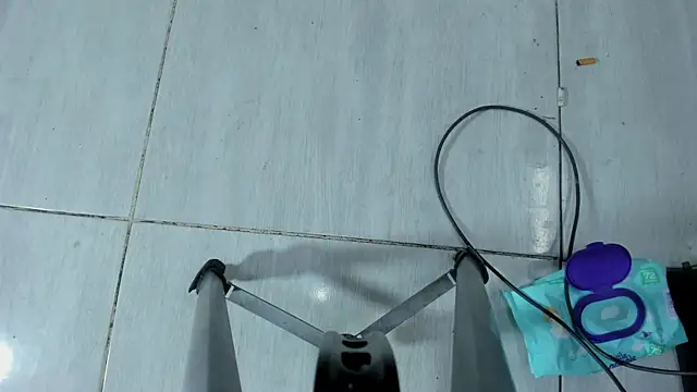 PrinceDEMONsHard webcam