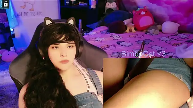 BimboCat webcam