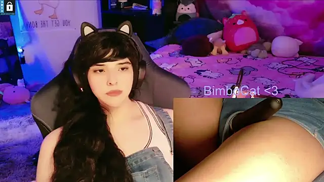 BimboCat webcam