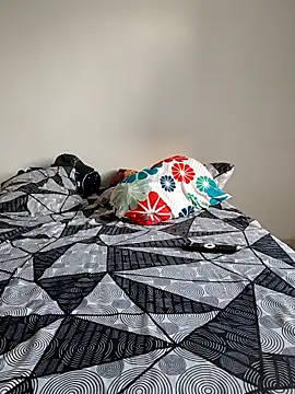 LEIRIS_Y_FRED_01 webcam