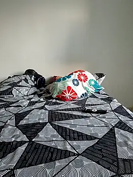 LEIRIS_Y_FRED_01 webcam