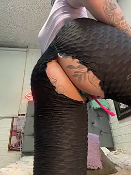 SALOME_KORLAND webcam