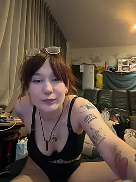 MisterandNiffyNoon webcam