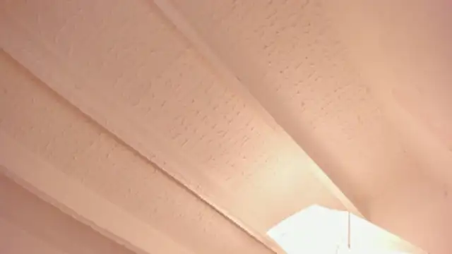 carmesix (F young) - suck nipples and armpits