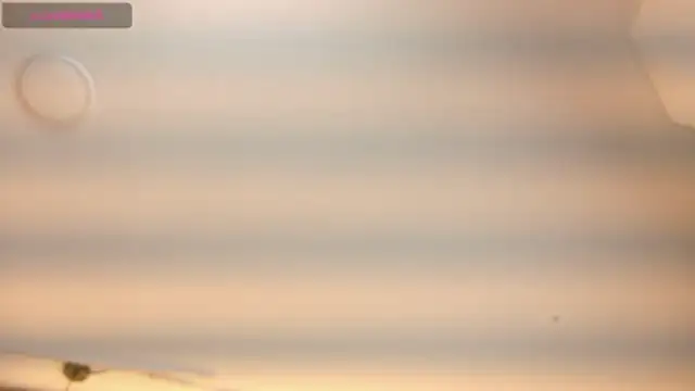 RashelANDCerverus webcam