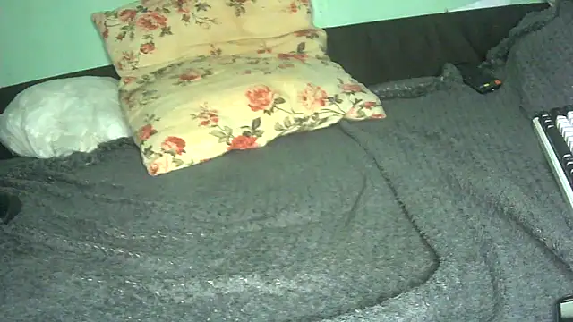 CleverPitzimitzi webcam