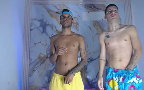 Damian_and_theo webcam