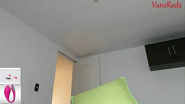 vanered2 webcam