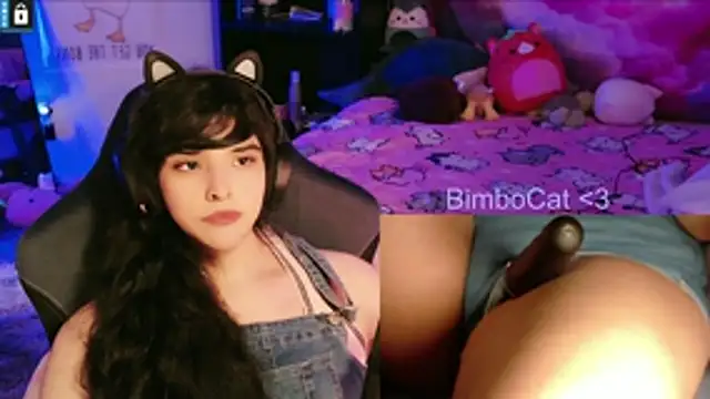 BimboCat webcam
