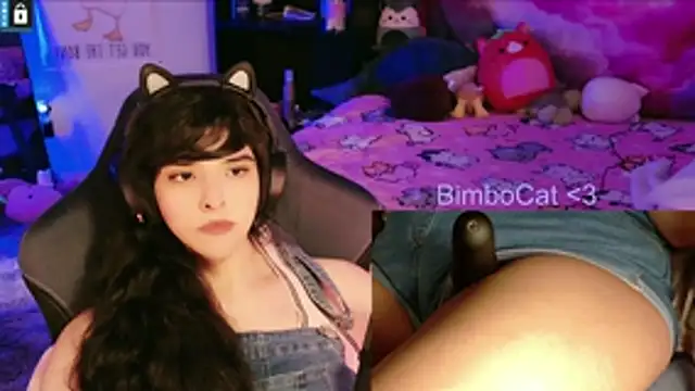 BimboCat webcam