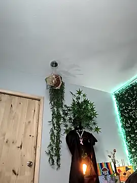 vickyjackson_ - VickyJackson_'s free webcam - UK Sex Cams