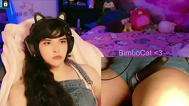 BimboCat webcam