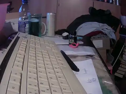 Tigerhill2023 webcam