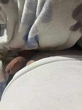 Flaquitocurioso webcam