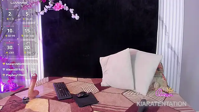 kiaratentation webcam