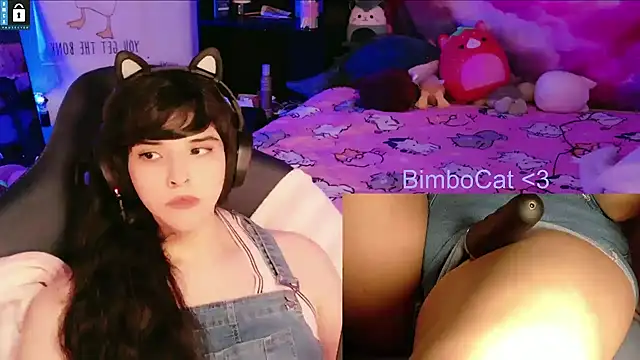 BimboCat webcam