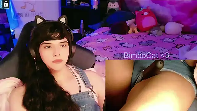 BimboCat webcam