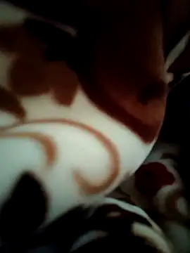 New_merrid_couple webcam