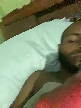 islandvybee55 webcam