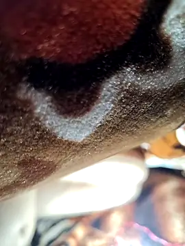 New_merrid_couple webcam