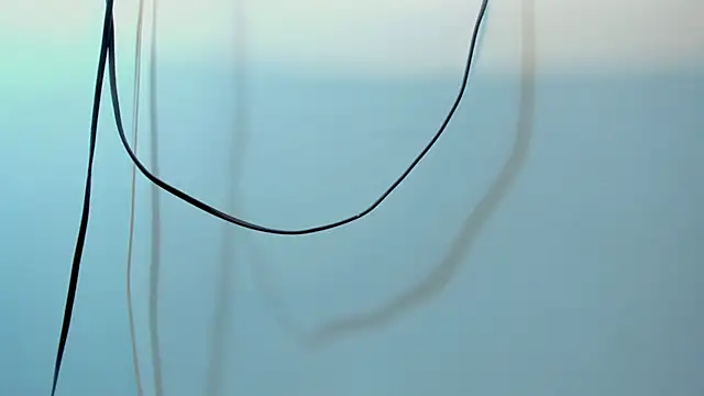 jacob_benelli (M young) - MEGACUM