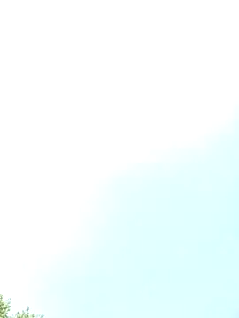 loyalboy_0052 webcam