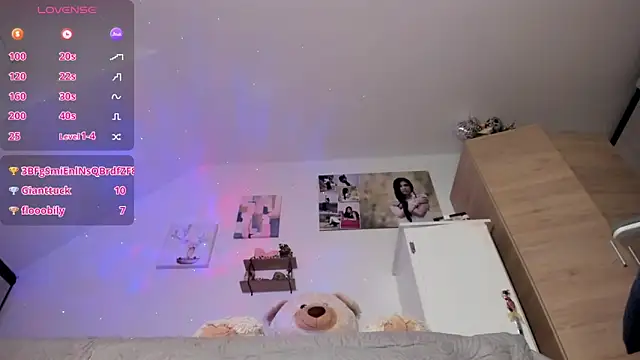 Veronikolsen- webcam