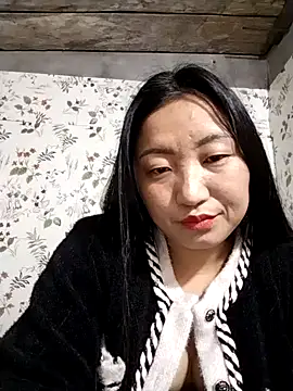 zhen-zo webcam