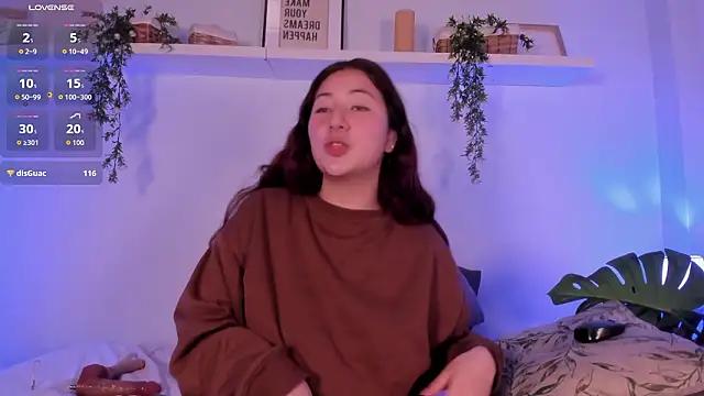 Nicolle_Evanss_ webcam