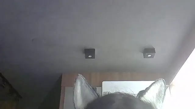 SkinnyKitten webcam