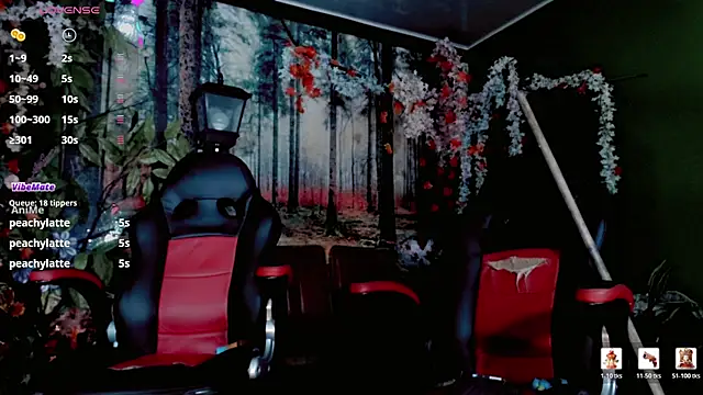 Cristal_and_noha webcam