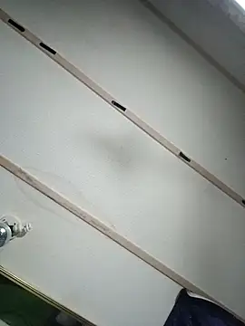 j_hollywood91 webcam