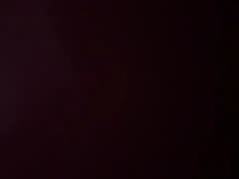 Prettyvsmonster webcam