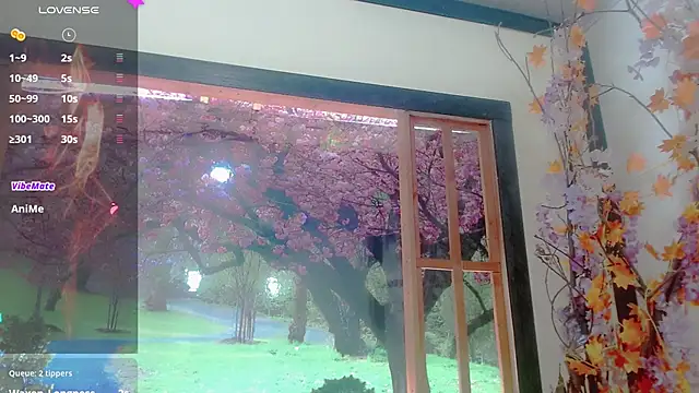 britanny_noroeste webcam