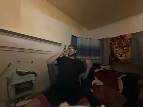 ThrowedWorldWide webcam