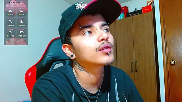 Hgp3riodictabl3 webcam