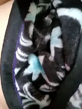 Webcam Model (aashwariyasinha69)  is live.Free join now!