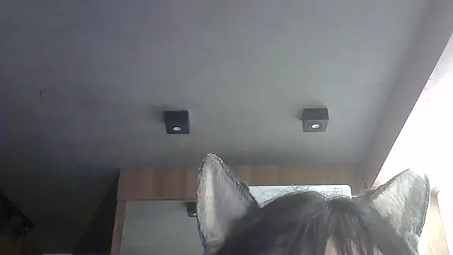 SkinnyKitten webcam