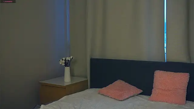 PatricePerlow webcam