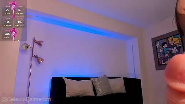 CelestePalmer_ webcam