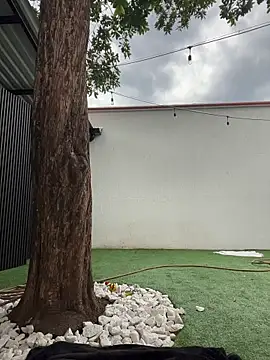 namii_cute - Namii_cute's free webcam - UK Sex Cams