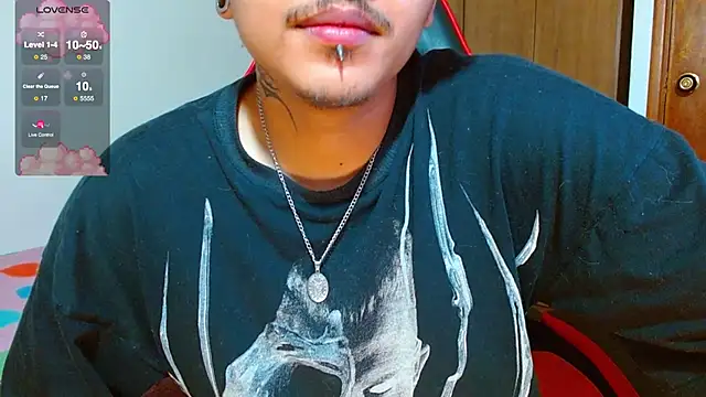 Hgp3riodictabl3 webcam