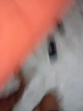 nove9xxx (M young) - #big-cocks #black-hair #brazilian #cam2cam #cheap-privates #ejaculation #foot-fetish #gays #hairy #hairy-armpits #handjob #hd #latin #masturbation #mobile #mustache #orgasm #portuguese-speaking #shower #skinny #striptease #student #trimmed #young