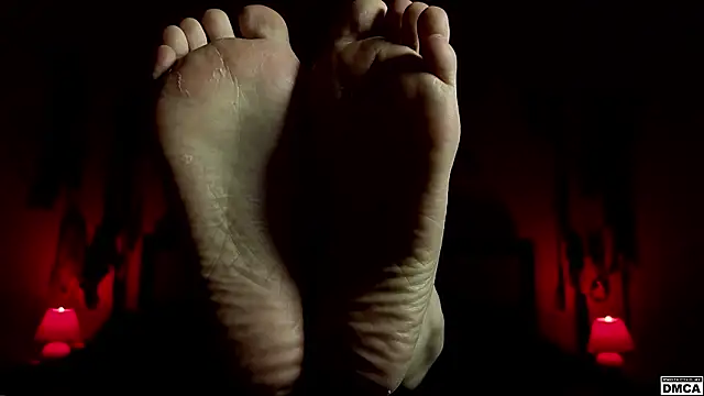 Amanita__Pantherina webcam