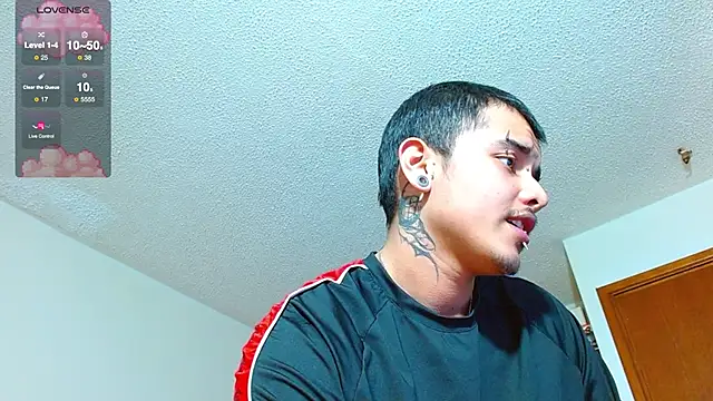 Hgp3riodictabl3 webcam