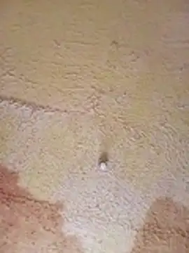 Thunderthighs26 webcam