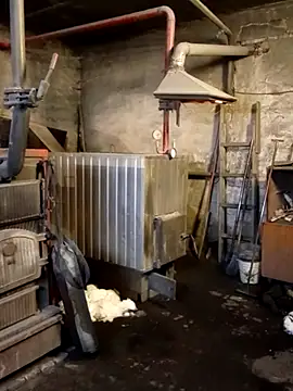 _uncle_Mitya-43_ webcam