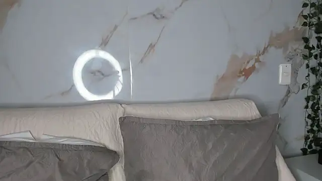 Paris_Colemann webcam