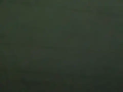 QA_DelayedPrime_TEST webcam