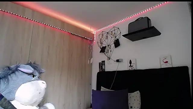 Santiago_kiler webcam